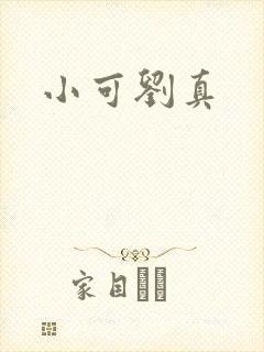 小可刘真封面