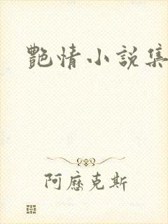 艳情小说集封面
