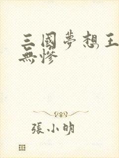 三国梦想王元姬无惨