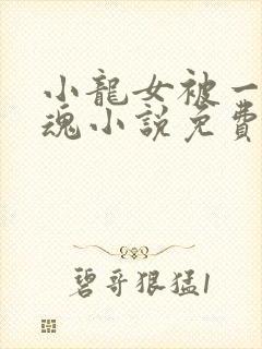 小龙女被一发入魂小说免费阅读