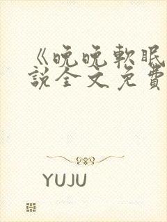 《晚晚软眠》小说全文免费阅读