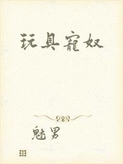 玩具宠奴