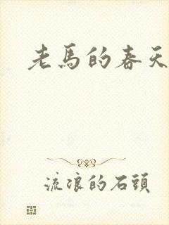 老马的春天敏静封面