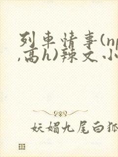 列车情事(np,高h)辣文小