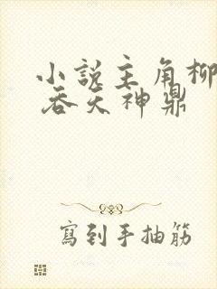 小说主角柳无邪 吞天神鼎封面