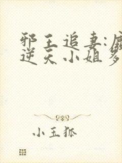 邪王追妻:废材逆天小姐多少字封面