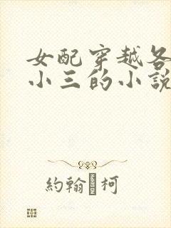 女配穿越各个做小三的小说