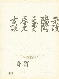 方辰天阳子的小说免费阅读封面