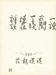 谁摸了我一下小说在线阅读封面