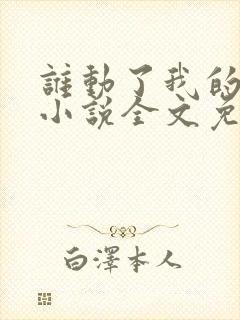 谁动了我的老婆小说全文免费阅读封面