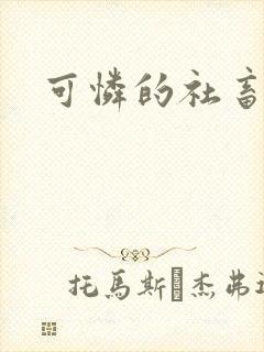 可怜的社畜分手