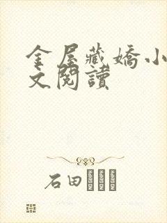 金屋藏娇小说全文阅读