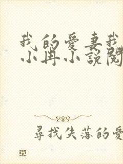 我的爱妻我的父小冉小说阅读免费封面