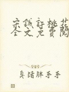 宋钱许桃花小说全文免费阅读