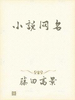 小说网名