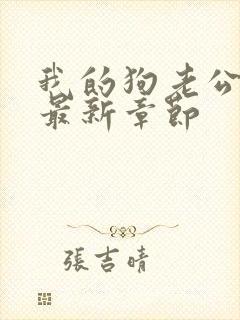 我的狗老公小说最新章节封面