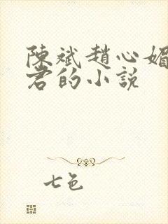 陈斌赵心媚高婉君的小说