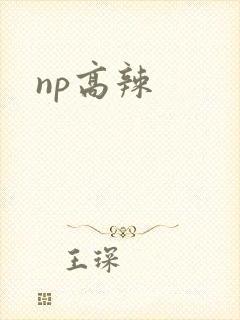 np高辣封面