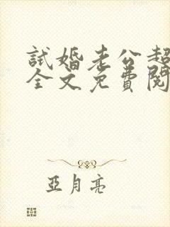 试婚老公超给力全文免费阅读全文