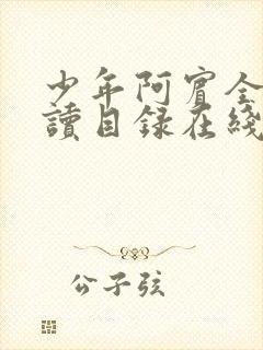 少年阿宾全文阅读目录在线阅读黄小洁