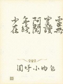 少年阿宾电子书在线阅读无删减