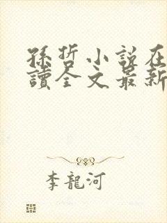 孙哲小说在线阅读全文最新封面