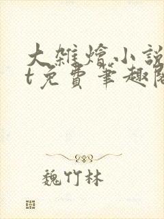 大杂烩小说txt免费笔趣阁