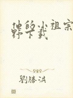 他的小祖宗甜又野下载