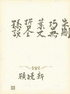 孙哲叶巧朱颜小说全文无删减免费阅读