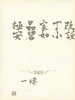 极品家丁改编版安碧如小说免费阅读