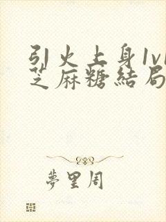 引火上身1v1芝麻糖结局封面
