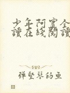 少年阿宾全文阅读在线阅读全文