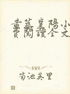 黄蓉襄阳小说免费阅读全文最新封面