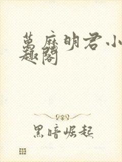 万历明君小说笔趣阁