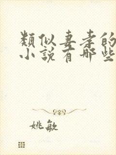 类似妻孝的长篇小说有哪些