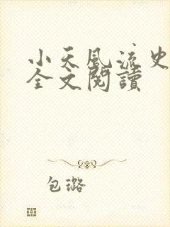 小天风流史小说全文阅读封面