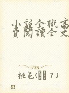 小说全职高手免费阅读全文无窗口
