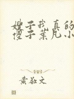 嫂子我真的不是傻子叶凡小说全文阅读