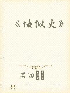 《他似火》封面