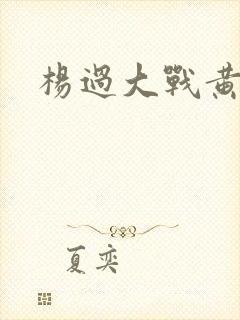 杨过大战黄蓉封面