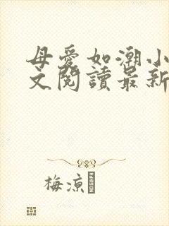 母爱如潮小说全文阅读最新章节更新