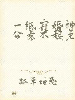 一纸宠婚神秘老公惹不起免费阅读