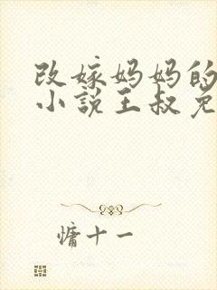 改嫁妈妈的悲惨小说王叔免费阅读