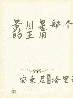 景川是哪个小说的主角