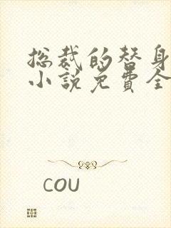 总裁的替身前妻小说免费全文阅读