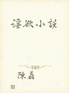 淫欲小说封面