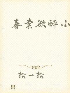 春棠欲醉小说封面