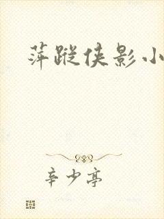萍踪侠影小说