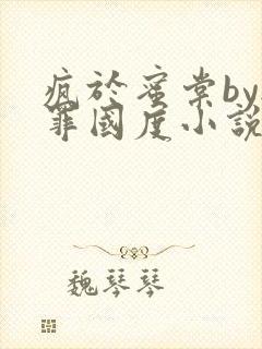 疯于蜜棠by无罪国度小说免费阅读