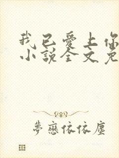我已爱上你陈超小说全文免费阅读